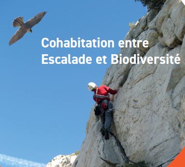 Soire-dbat du 30 novembre  Aubagne - Cohabitation entre escalade et biodiversit